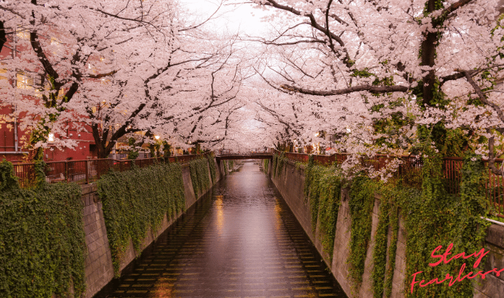 写真描写のレッスン例