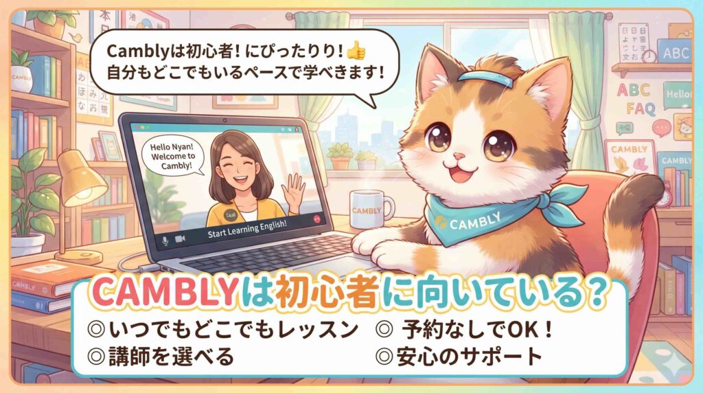 Camblyと初心者に関するよくある質問に答える子猫