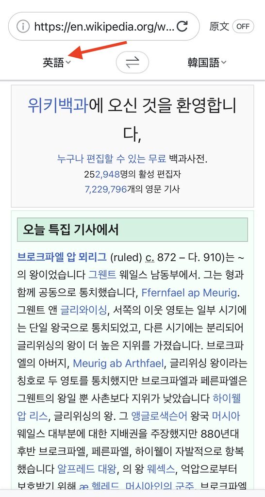 Papagoのウェブサイト翻訳の使い方4