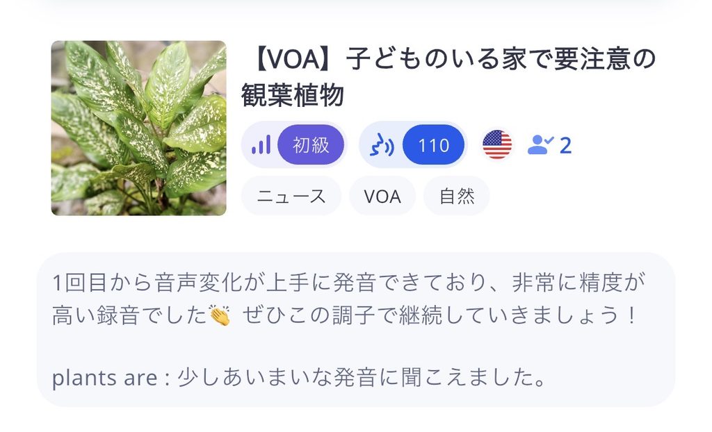 シャドミー講師によるコメント